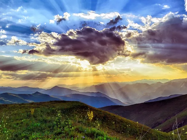 Sonne, Wolken, alpine Bergwelt - mit sichtbaren Strahlen, die einzelne gelbe Blüten beleuchten